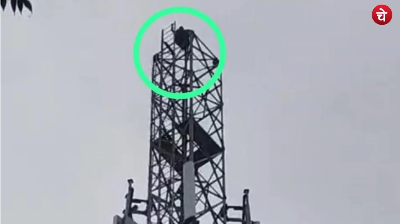 Woman climbs a tower in Jaunpur Damrua village on Karwa Chauth